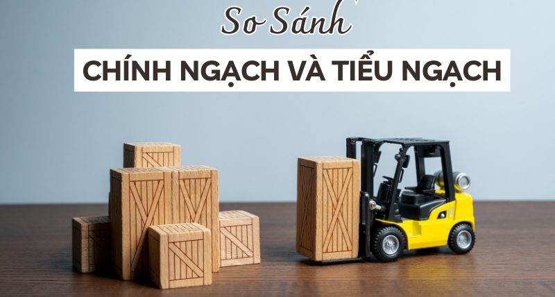 so sánh chính ngạch và tiểu ngạch