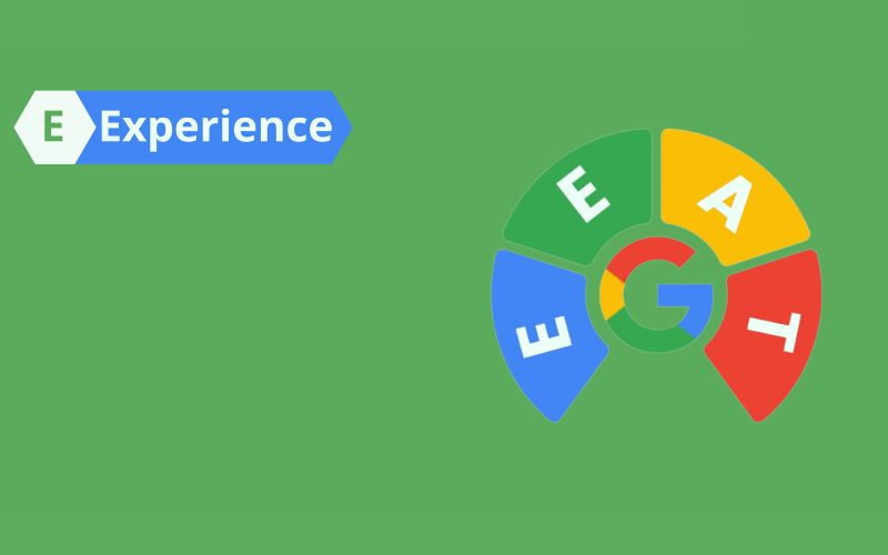 Experience (Kinh nghiệm)