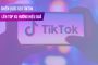 Chiến lược SEO TikTok